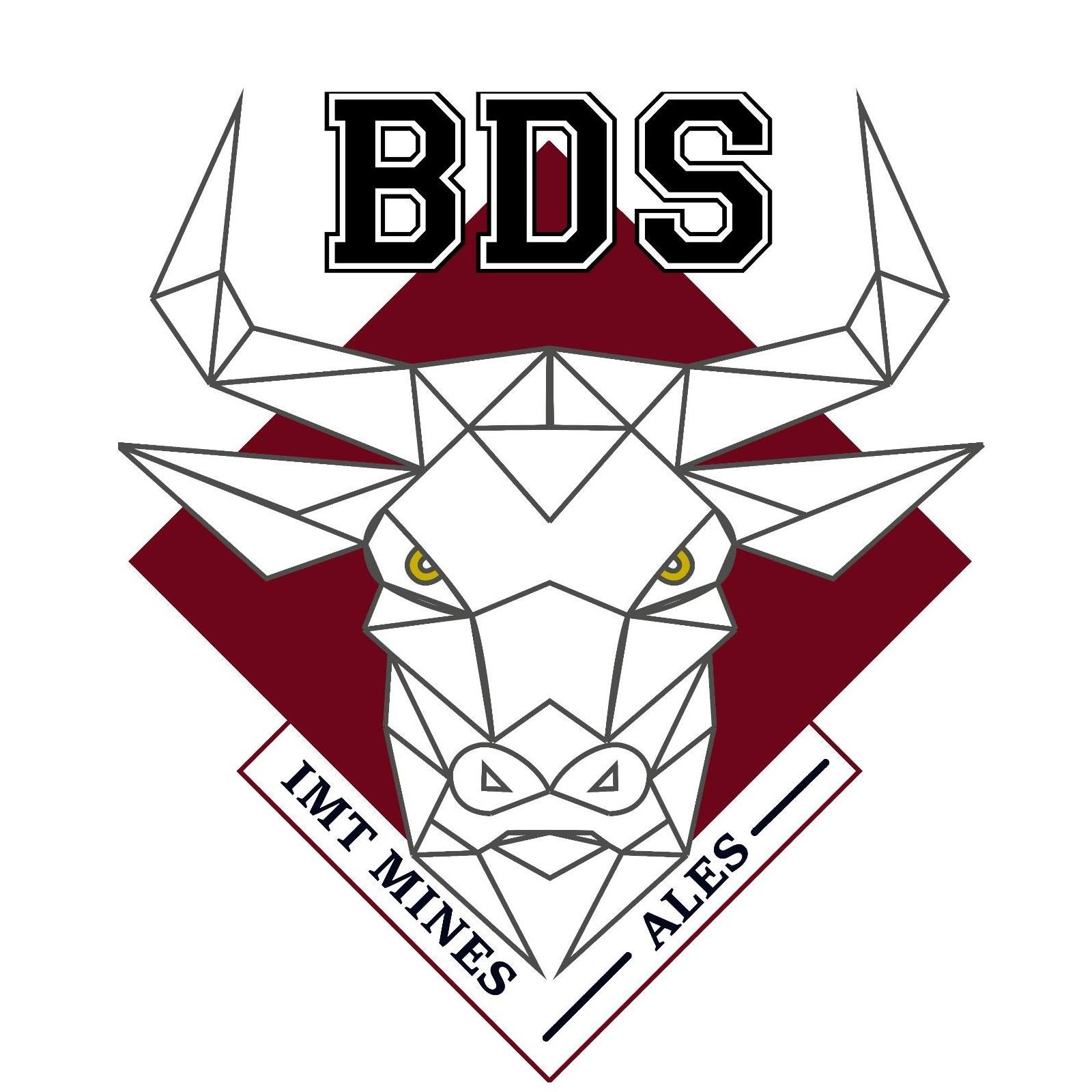 Logo BDS 2023